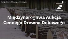 Aukcja drewna dębowego w Krotoszynie [wideo]