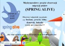 Spring Alive