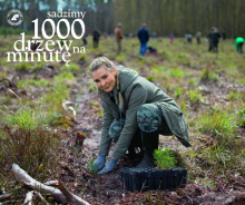 Sadzimy 1000 drzew na minutę [wideo]