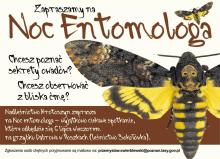 Noc Entomologa w Nadleśnictwie Krotoszyn