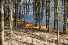 Wzrasta zagrożenie pożarami w lasach