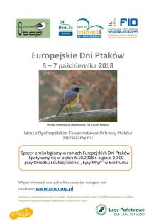 Europejskie Dni Ptaków w Łysym Młynie