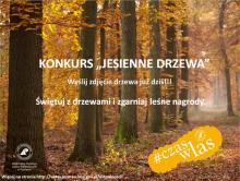 Konkurs "Jesienne drzewa"