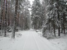 Słownik "śnieżnych pojęć"