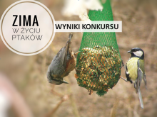 WYNIKI KONKURSU "Zima w życiu ptaków"