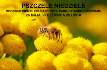 PSZCZELA NIEDZIELA W STARYM BROWARZE