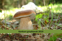 Konkurs Grzybiarski 2019