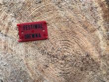 Festiwal Drewna pełen niecodziennych doświadczeń