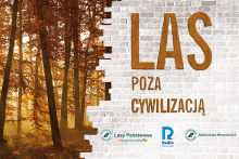 Las Poza Cywilizacją – start IV edycji