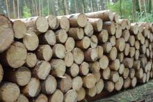 Zasady Sprzedaży Drewna na lata 2020-2021- Spotkanie informacyjne