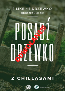 Posadź drzewko z Chillasami