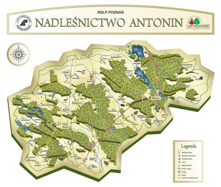 arch&#x2e;&#x20;Nadleśnictwa&#x20;Antonin