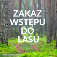 Zakaz wstępu do lasu z powodu koronawirusa