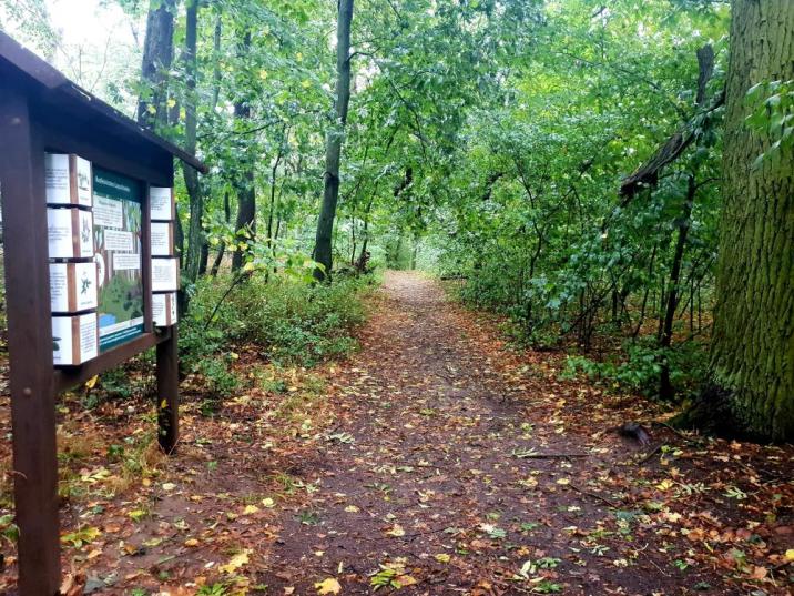 Zdjęcie&#x20;przedstawia&#x20;park&#x20;w&#x20;Radojewie&#x20;oraz&#x20;tablice&#x20;edukacyjną&#x20;nowootwartej&#x20;ścieżki&#x20;pn&#x2e;&#x20;&#x22;W&#x20;poszukiwaniu&#x20;zielonej&#x20;energii&#x22;&#x2e;&#x20;Fot&#x2e;&#x20;Karolina&#x20;Kapałka&#x20;&#x28;RDLP&#x20;w&#x20;Poznaniu&#x29;&#x2e;