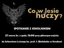 Co w lesie huczy?