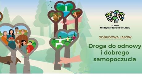 Las to zdrowie. Międzynarodowy Dzień Lasów 2021