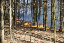 Zagrożenie pożarowe w lasach