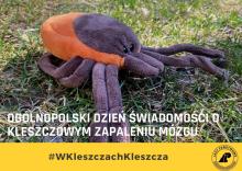 W kleszczach kleszcza