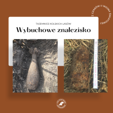 Wybuchowe znalezisko w kolskim lesie