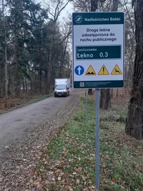 Znaki w lesie