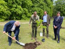 Połączyły nas drzewa w Bieniszewie