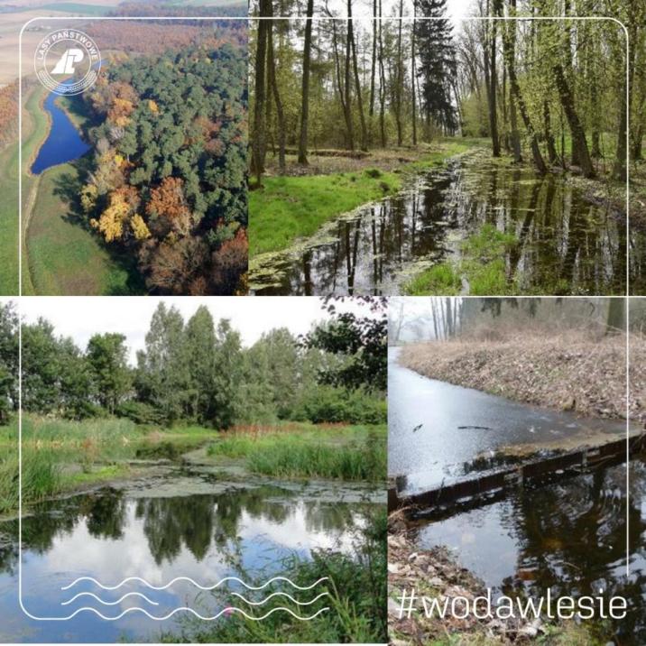 Fotografia&#x20;przedstawia&#x20;obiekty&#x20;małej&#x20;retencji&#x20;w&#x20;Nadleśnictwie&#x20;Koło&#x2e;&#x20;Archiwum&#x20;Nadleśnictwa&#x20;Koło&#x2e;