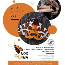 Noc CIEMna w Nadleśnictwie Czerniejewo