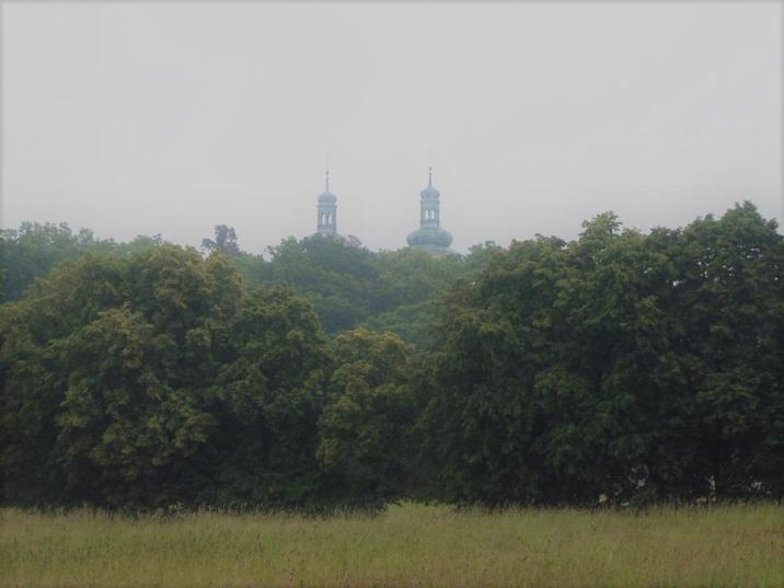 Fotografia&#x20;przedstawia&#x20;widok&#x20;na&#x20;wieże&#x20;klasztoru&#x20;o&#x2e;&#x20;Kamedułów&#x2e;&#x20;Fot&#x2e;&#x20;Archiwum&#x20;Nadleśnictwa&#x20;Konin&#x2e;