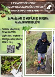 Sadzenie drzew w Lesie Nowożeńców i Drzew Okolicznościowych