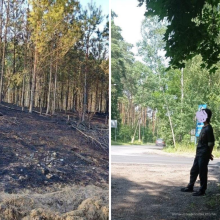 Podpalał lasy, został złapany na gorącym uczynku!