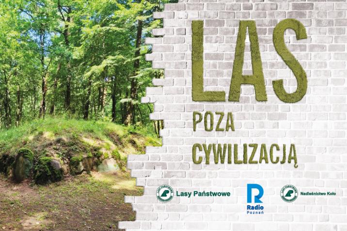 Ilustracja&#x20;przedstawia&#x20;baner&#x20;promocyjny&#x20;VI&#x20;edycji&#x20;&#x22;Lasu&#x20;poza&#x20;cywilizacją&#x22;&#x2e;&#x20;Fot&#x2e;&#x20;RDLP&#x20;w&#x20;Poznaniu&#x2e;