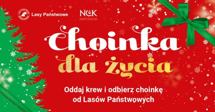 Grafika&#x20;promująca&#x20;akcję&#x20;Choinka&#x20;dla&#x20;życia&#x2e;&#x20;Źródło&#x3a;&#x20;DGLP