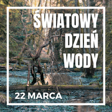 Światowy Dzień Wody