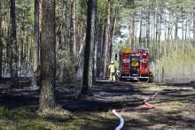 Mniej pożarów lasów - leśnicy podsumowali I półrocze 2023 r.