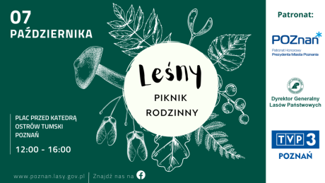 Leśny Piknik Rodzinny 2023