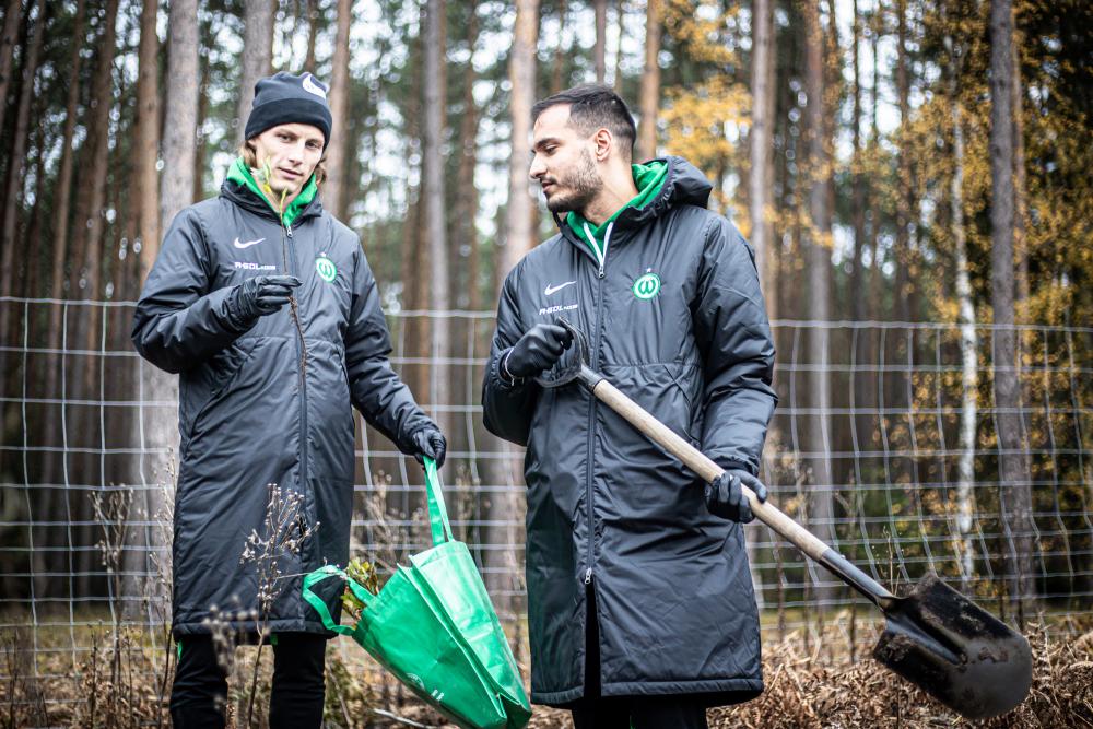 Zdjęcie&#x20;przedstawia&#x20;zawodników&#x20;Warta&#x20;Poznań&#x20;przyglądających&#x20;się&#x20;sadzonce&#x20;dęba&#x2e;&#x20;Fot&#x2e;&#x20;Klaudia&#x20;Berda&#x20;&#x2f;&#x20;Warta&#x20;Poznań