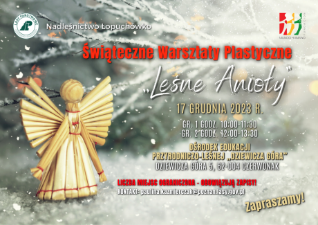 Leśne Anioły 2023