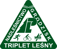 II TRIPLET LEŚNY