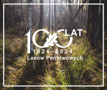 100 lat temu powstał statut „Polskich Lasów Państwowych"