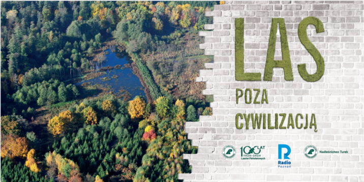 Grafika&#x20;przedstawia&#x20;banner&#x20;informujący&#x20;o&#x20;dziewiątej&#x20;edycji&#x20;konkursu&#x20;Las&#x20;poza&#x20;Cywilizacją&#x2e;