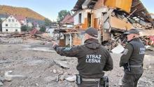 KOLEJNE KONTYNGENTY STRAŻY LEŚNIEJ LASÓW PAŃSTWOWYCH WYSŁANE NA DOLNY ŚLĄSK