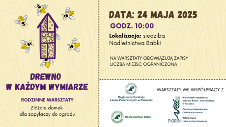 Drewno w każdym wymiarze - warsztaty rodzinne
