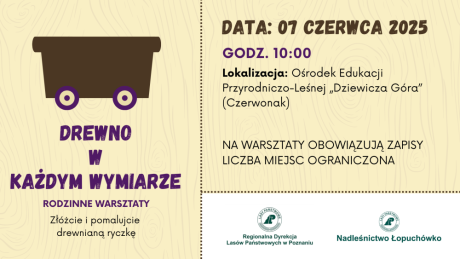 Drewno w każdym wymiarze - warsztaty rodzinne