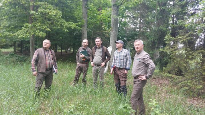 Zdjęcie&#x20;przedstawia&#x20;grupę&#x20;leśników&#x20;wraz&#x20;z&#x20;audytorem&#x20;rozglądających&#x20;się&#x20;po&#x20;lesie&#x2e;&#x20;Fot&#x2e;&#x20;Archiwum&#x20;RDLP&#x20;w&#x20;Poznaniu