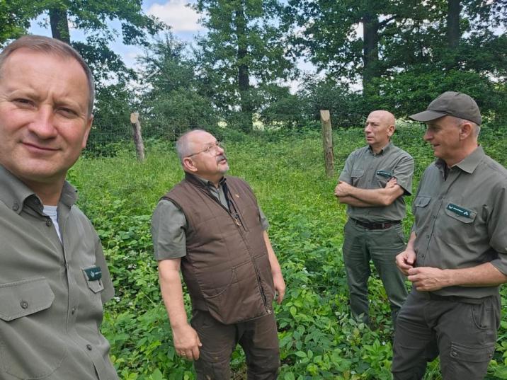 Zdjęcie&#x20;przedstawia&#x20;leśników&#x20;w&#x20;zielonych&#x20;koszulach&#x20;w&#x20;lesie&#x20;dębowym&#x20;rozglądających&#x20;się&#x20;dookoła&#x2e;&#x20;Fot&#x2e;&#x20;I&#x2e;&#x20;Niemiec&#x20;&#x28;N&#x2e;&#x20;Piaski&#x29;