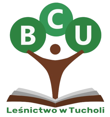 Logotyp&#x20;Branżowego&#x20;Centrum&#x20;Umiejętności