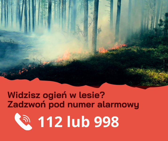 Na górze płonąca ściółka lasu, na dole apel o zgłaszanie pożarów lasów na numery alarmowe 112 i 998.